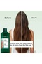 Oily Hair Vegan Salt-Free Detox Care Purifying Shampoo Set 300 ml + 600 ml Refill - 2