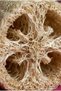 Raw Gourd Fiber for Bathing and Dishwashing, Unprocessed Fiber Gourd 50-65 cm Raw Gourd Fiber - 2