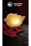 White Leaf Model Salt Lamp with Wooden Base Decorative Ambient Lamp - 3