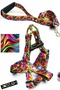 Dog Chest Collar, Walking Strap Set Cars Series - 2
