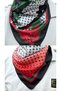 2 Pcs Palestine Themed Scarf 50X50 Unisex Suitable for Daily Use Pashmina Shawl Keffiyeh Palestine Flag