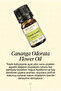 Ylang Ylang Essential Oil (5ml) - 2