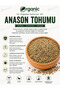 Natural Anise Seed Tea 100 Gr – Herbal Tea That Soothes Digestion - 2