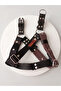 Dog Collar Small and Medium Breeds Adjustable Braided Column Cord and Nubuck Leather Black & Mink - 2