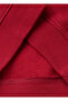 Boy's Red Crew Neck Sweatshirt with Embroidered Ribbed Front and Raglan Sleeves - 3