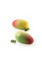Silikomart Silicone Cake & Cake Mold Mango 130