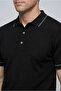 Regular Fit Stripe Detailed Polo Collar Knitted T-Shirt - 3