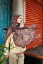 Allure Tulip Patterned Shawl - Dark Dusty Rose-Grey