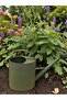 Galvanized Metal Watering Can Oval 11 Lt Green