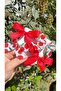 Summer Cherry Fruit Children's 4-Piece Buckle Set-3Cm Metal Clip Buckle - 2