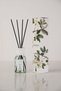 Jasmine Reed Diffuser 110ml - 4
