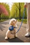 Anti-Escape Cat Walking Leash with Bag and Small Breed Dog Walking Leash - 2