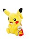 Pokemon Kanto Serisi Peluş - Pikachu - 3