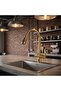Gold Spiral Kitchen Sink Faucet with Purified Water Inlet 150589Spg - 2