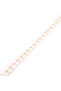 عظم جمل - 3