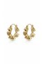 Diaventa Xuping Steel Gold Curved Hoop Earrings Wavy Oyster Model Tarnish Resistant Earrings-2.2Cm