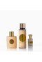Perfumes Cream Velvet Gift Set for Women (EDP 100 ML, Body Mist Spray 250 ML & Perfume Oil 24 ML) - 3