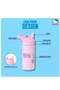 Hello Kitty Kawaii Kitty Stainless Steel Water Bottle - 4