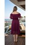 Women's Ruffle Collar Chiffon Dress - 2