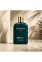 PARADEIGMA erkek parfüm 100ml - 2