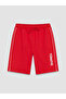 Sparkling Choices from Shining Store Standart Fit Boy's Turkey Printed Shorts - 2