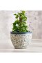 Hamilton Ceramic Planter 42x42x33cm - Blue
