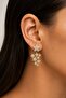Star Model Gold Color Zircon Stone Earrings