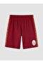 Galatasaray Printed Boys' Shorts Pajama Set (S6) - 5