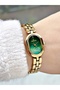 Special Design Gold-Green Color Steel Cord Women Wrist Watch Es6983Mr