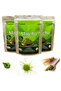 Constanta Detox Herbal Tea for Weight Management 100 G - 2