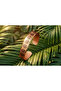 Gifted 100% handmade copper | copper vegvisir motif adjustable clasp bracelet - 7