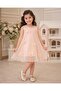 Chiffon Neck Dress