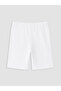 Trendlucky Plus Size Women's Shorts Leggings with Difference - 3