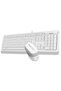 A4 Tech F1010 Wired USB Q Trk White Keyboard - Mouse Set - 4