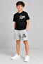 Bear Printed Children's Summer Quality T-Shirt and Capri Set