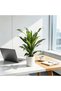 Realistic Artificial Brazilian Iron Tree – Faux Dracaena Fragrans for Modern Home or Office – Indoor/Outdoor Decorative Green Plant, Air Purifying, Low Maintenance – White Antique Pot & Yellow Pebbles - 4