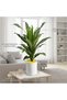 Faux Dracaena Fragrans Plant (98cmH) | Artificial Brazilian Iron Tree with White Vintage Pot & Yellow Pebbles | Low-Maintenance Fake Plant for Indoor/Outdoor Home Office Decor - 3