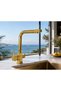 Stilla Gold Purification Outlet Sink Faucet Acar 06.01.323 - 2