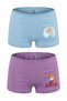 Licensed Frozen Girls' Boxer Briefs 2-Pack Cotton Boxer Kids Underwear Cute Princess Shorts Panties Gift Frozen Underpants Fz22691