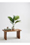 Artificial Palm Tree, 70 cm High - 2