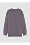 Lcw Kids Gray Crew Neck Printed Boys' Sweatshirt - 3