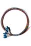 LVO-PIG-LCUPC-12CORE-OS2-1.5M
