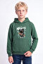 Boy's Printed Kangaroo Pocket Long Sleeve Hooded Sweatshirt - 4