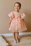 Le Mabelle Girls' Organza Dress with Rose Applique Salmon