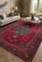 Decorative Carpet Non-Slip Base Stain-Resistant Washable Rug Custom Size Living Room Carpet 3044-01