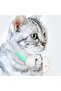 Automatic laser cat toy, USB rechargeable. - 5