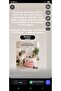 Pet Toy and Grooming Basket - 2