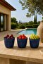 3 Piece Decorative Bowl Set |   Snack Bowl & Snack Presentation Bowl |   Bpa Free |   Suitable for Food Contact - 4