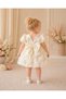 Girl Baby Girl Child Short Sleeve Back Detail Bow Special Occasion Birthday Party Wedding Holiday Dress - 3