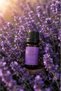 Solaén Natural Lavender Essential Oil 10 ml Steam Distillation Natural Oil - 2